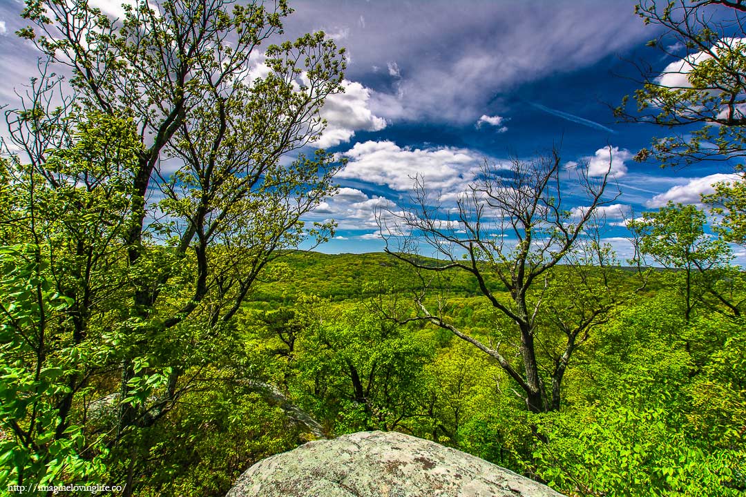 green trail lookout